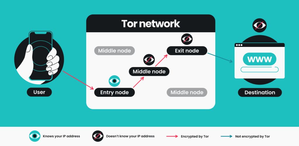 An illustration explaining the intricacies of Tor network makeup